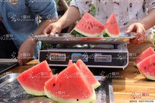 聊城今日吃瓜,瓜田里的新鲜事儿